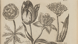 Gardening rare book